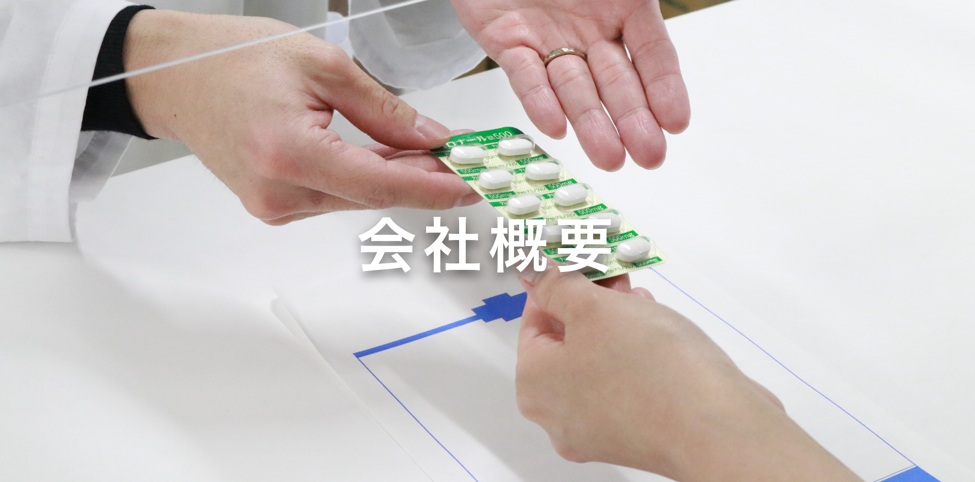 会社概要